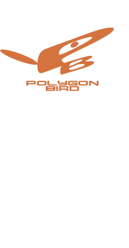 POLYGON BIRD Games